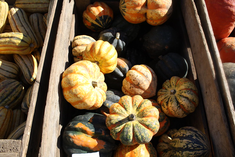 is acorn squash low FODMAP