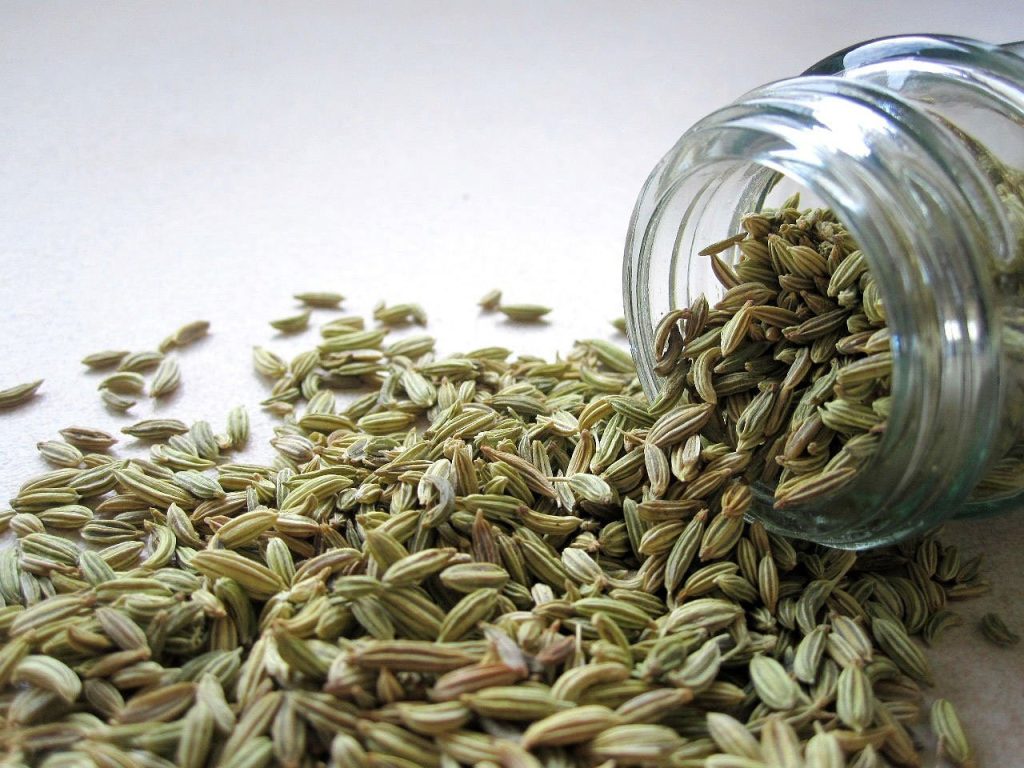 Is Fennel Low FODMAP