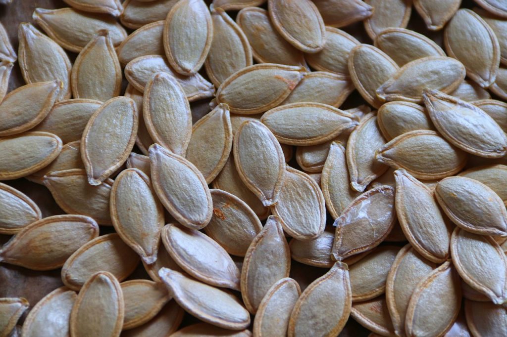 are pumpkin seeds low FODMAP