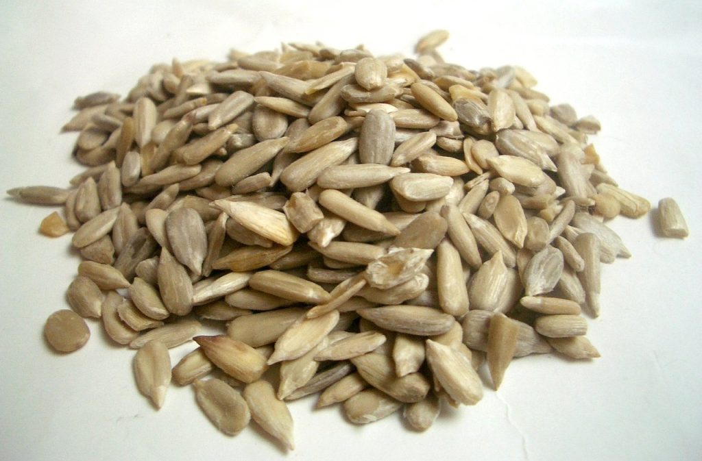 Are Sunflower Seeds Low FODMAP