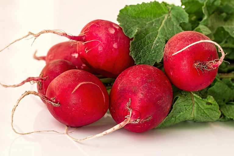 Are Radishes Low FODMAP