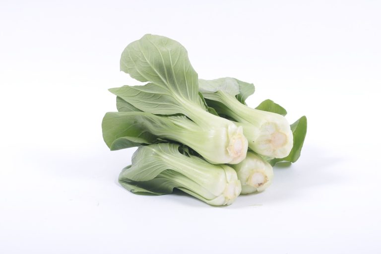 Is Bok Choy Low FODMAP