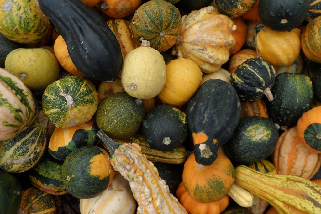 is acorn squash low FODMAP